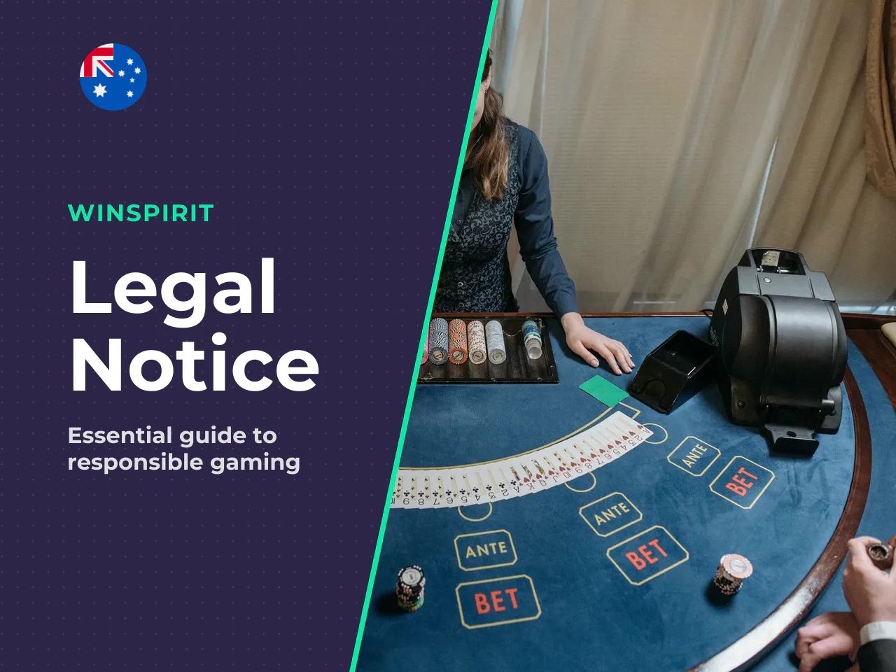 Disclaimer The information in this guide