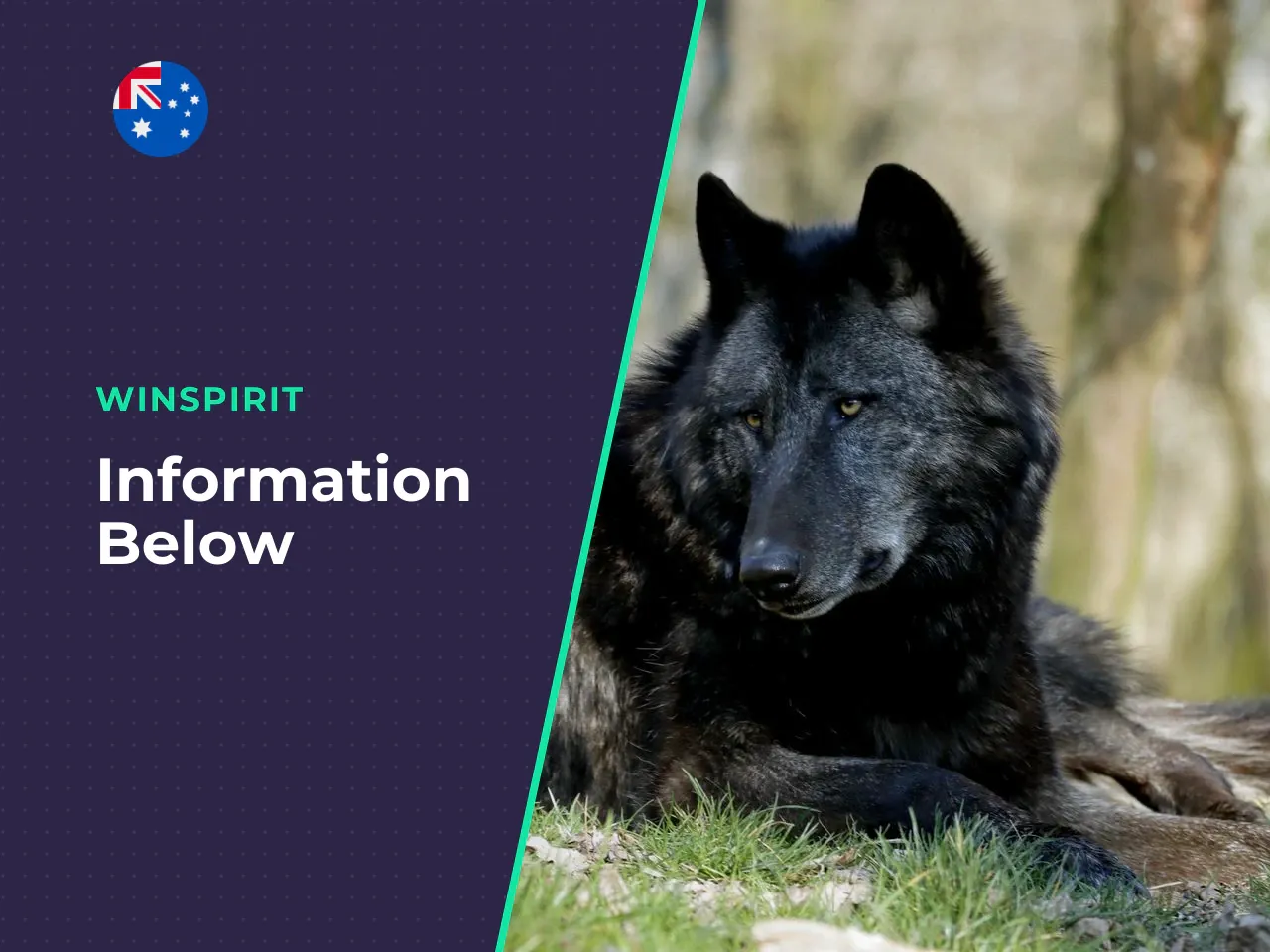 Black Wolf Online for Real Money